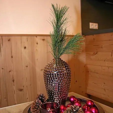 Wellnesshuettendorf Wiese Sankt Leonhard im Pitztal Room photo