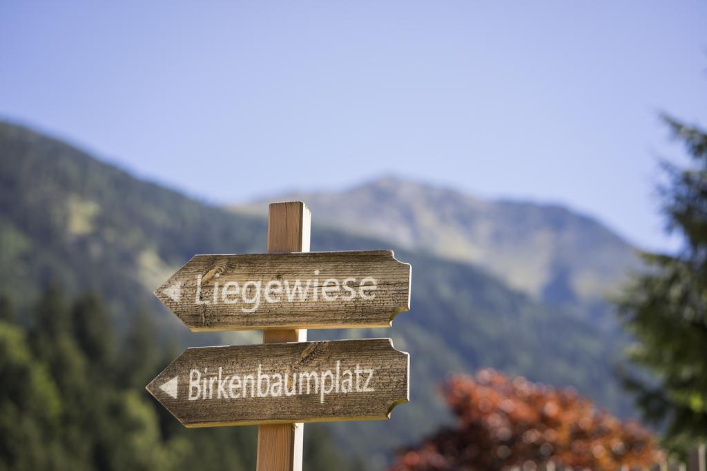 Chalet Wellnesshüttendorf Wiese