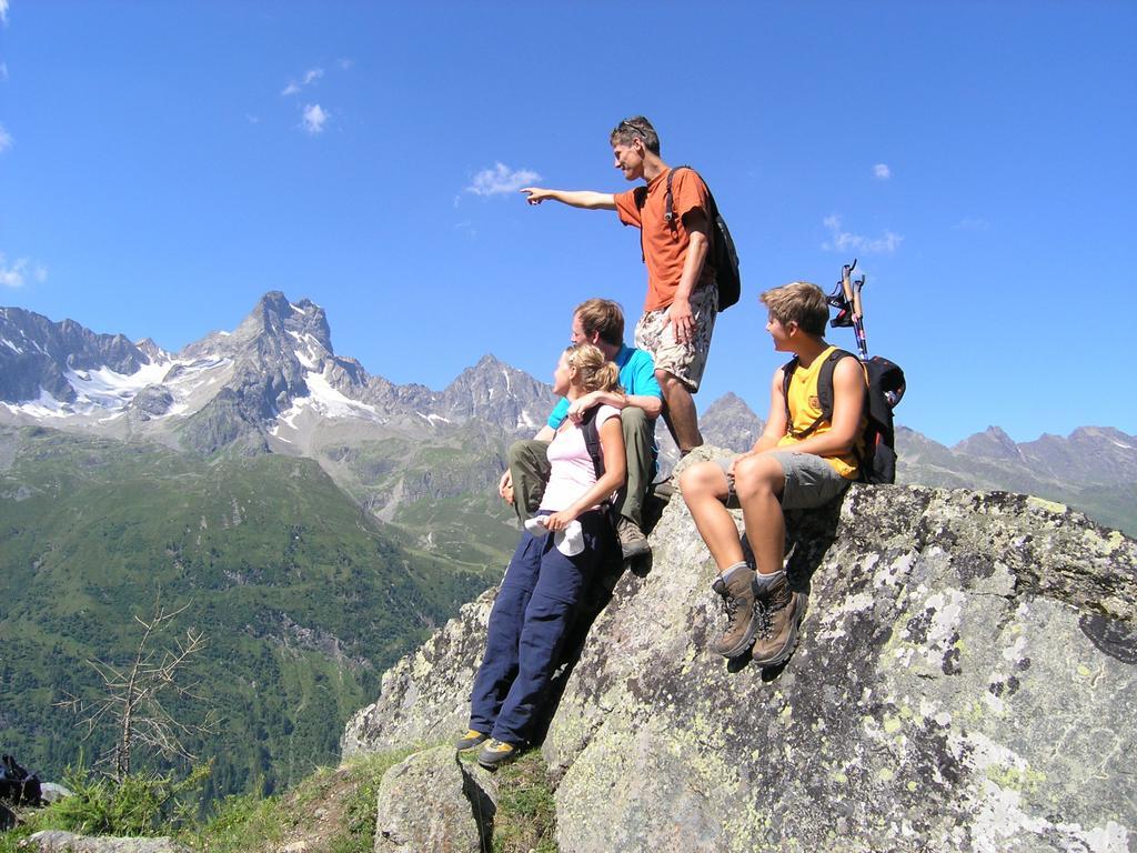Chalet Wellnesshuettendorf Wiese